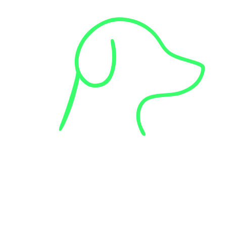 Chapka